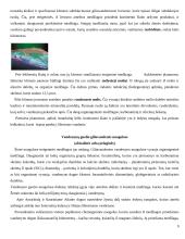 Pasaulio vandenynas 9 puslapis