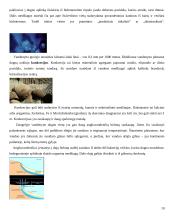 Pasaulio vandenynas 10 puslapis