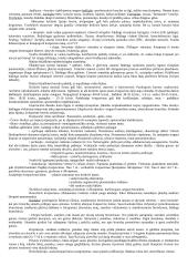 Pediatrijos teorija 3 puslapis