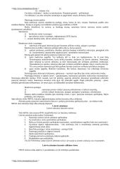 Bausmių vykdymo politika 11 puslapis