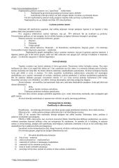 Bausmių vykdymo politika 13 puslapis