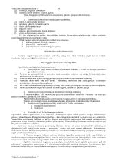 Bausmių vykdymo politika 14 puslapis