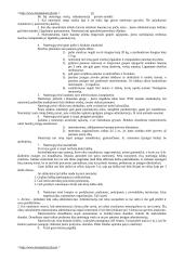 Bausmių vykdymo politika 15 puslapis