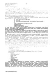 Bausmių vykdymo politika 17 puslapis