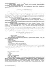 Bausmių vykdymo politika 19 puslapis