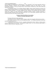 Bausmių vykdymo politika 20 puslapis