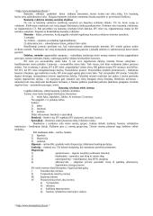 Bausmių vykdymo politika 3 puslapis