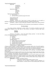 Bausmių vykdymo politika 4 puslapis