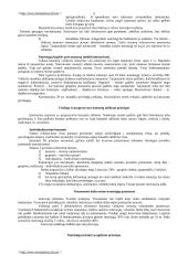 Bausmių vykdymo politika 5 puslapis