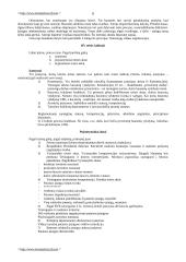 Bausmių vykdymo politika 6 puslapis