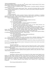 Bausmių vykdymo politika 9 puslapis