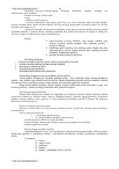 Bausmių vykdymo politika 10 puslapis