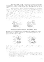 Pirmosios medicinos pagalbos pagrindai 10 puslapis