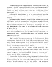 Filosofinio veikalo “Valstybė / Platonas” apžvalga 2 puslapis