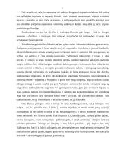 Filosofinio veikalo “Valstybė / Platonas” apžvalga 9 puslapis