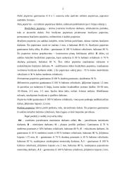 Popieriaus atradimas 2 puslapis