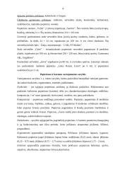 Popieriaus atradimas 4 puslapis