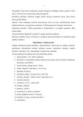 Popieriaus atradimas 7 puslapis