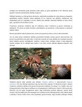 Povandeninio pasaulio draugai 3 puslapis