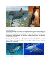 Povandeninio pasaulio draugai 7 puslapis