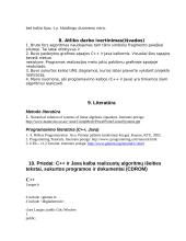 Programavimo technologijos 13 puslapis