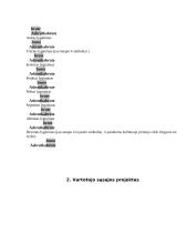 Programavimo technologijos 4 puslapis