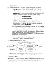 Psichologijos objektas ir samprata 13 puslapis