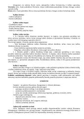 Psichologijos objektas ir istorija 7 puslapis