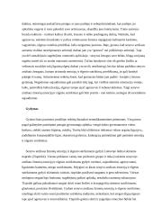 Psichika ir psichologija 18 puslapis