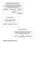 Psichologijos pagrindai. Psichologijos samprata 11 puslapis