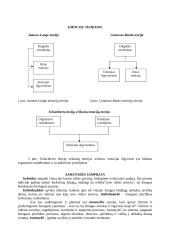 Psichologijos mokslas - teorija 10 puslapis