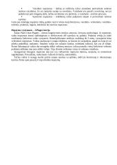 Psichologijos pagrindai teorija 19 puslapis