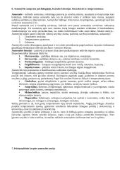 Psichologijos pagrindai teorija 6 puslapis