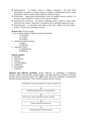 Psichologijos plati teorija 7 puslapis