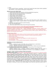 Raidos psichologijos teorija 11 puslapis