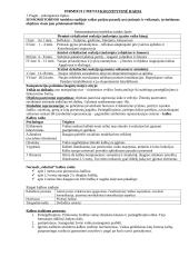 Raidos psichologijos teorijos 5 puslapis