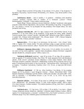 Rekordai: maistas ir gėrimai, išradimai 2 puslapis