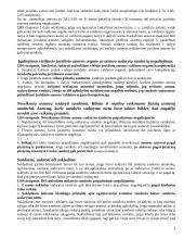 Sandorių negaliojimas 3 puslapis