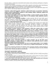 Sandorių negaliojimas 4 puslapis