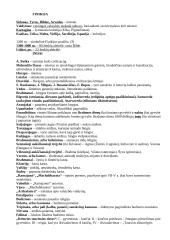 Senovės civilizacijų terminai 3 puslapis