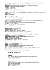 Senovės civilizacijų terminai 4 puslapis