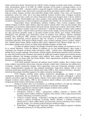 Socialinių paslaugų rinkos tyrimai 4 puslapis