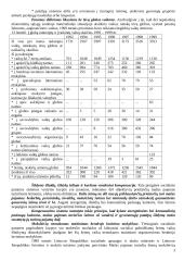 Socialinės paslaugos ir jų administravimas 3 puslapis