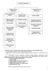 Socialinės paslaugos ir jų administravimas 9 puslapis