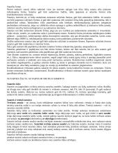 Sutarčių teisė (konspektas) 7 puslapis