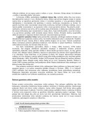 Šeima, vaidmenys šeimoje 3 puslapis