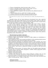 Šeima, vaidmenys šeimoje 4 puslapis