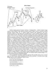 Techninės analizės indikatoriai 10 puslapis