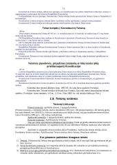 Teisės pagrindų savarankiškas darbas 11 puslapis