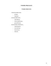 Tyrimo metodai ir pažinimo procesas 13 puslapis